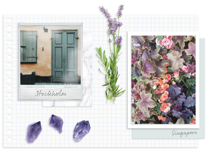 Behind the Color of the Year