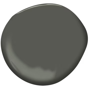 Color of the Year 2025