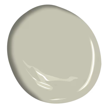 Color of the Year 2025