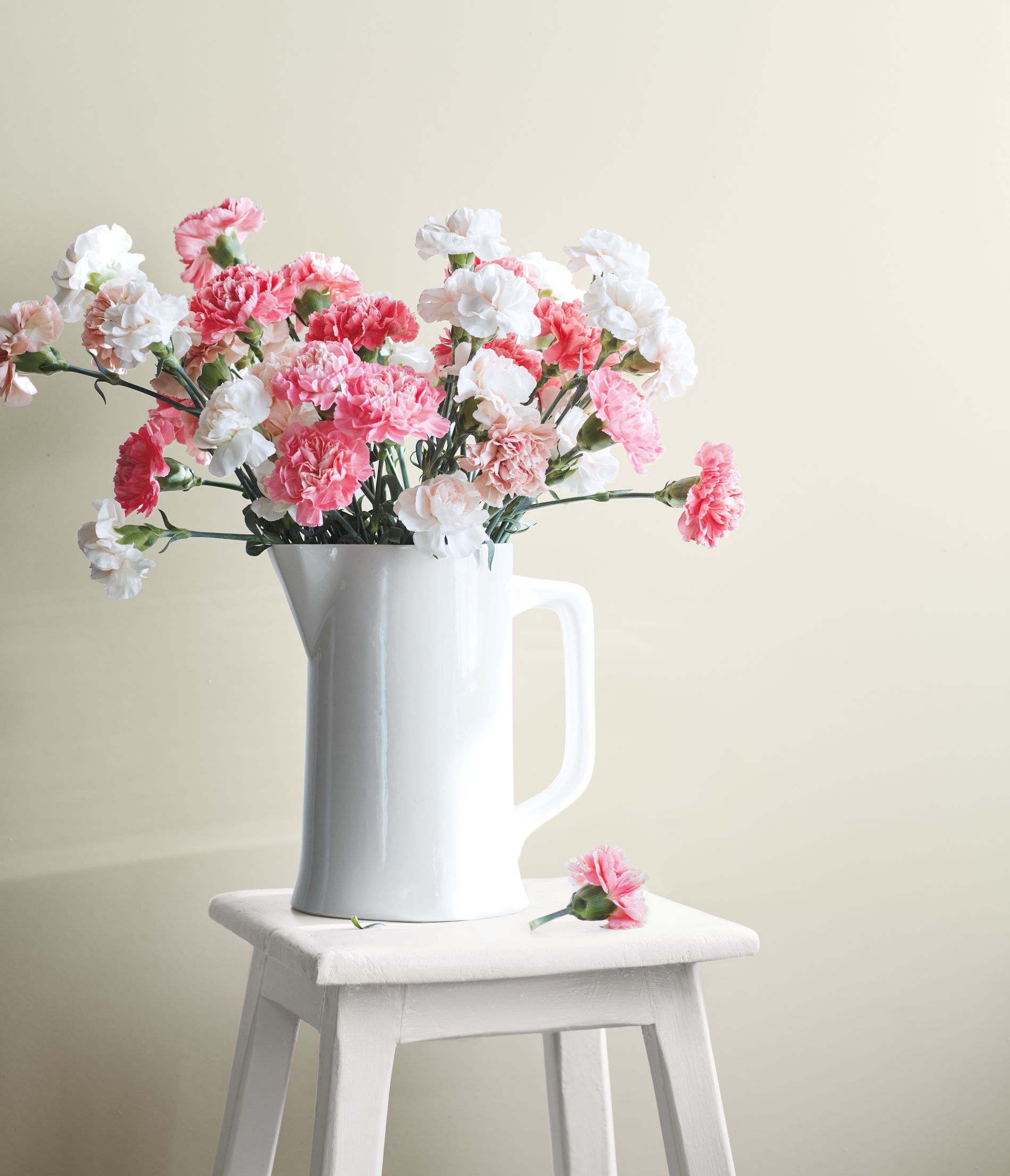 Color Trends 2022