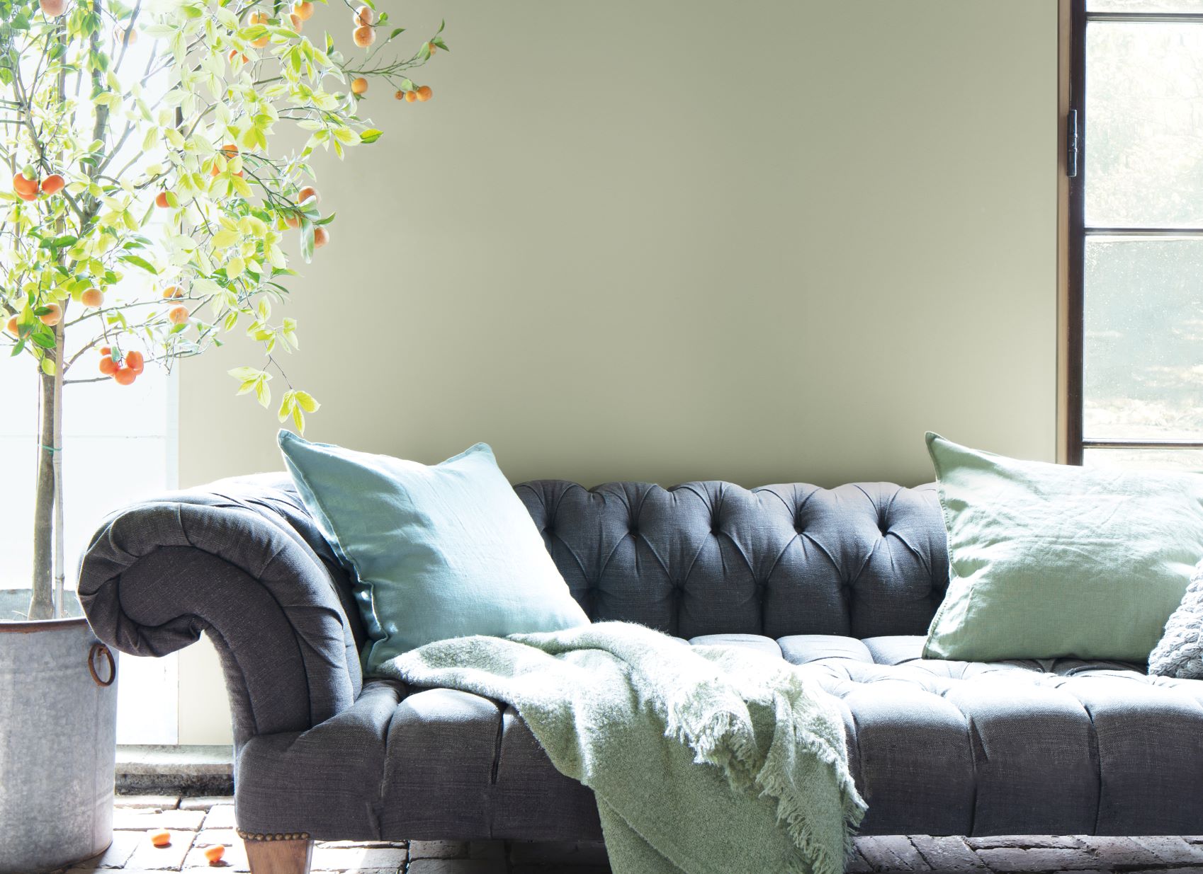 Color Trends 2022
