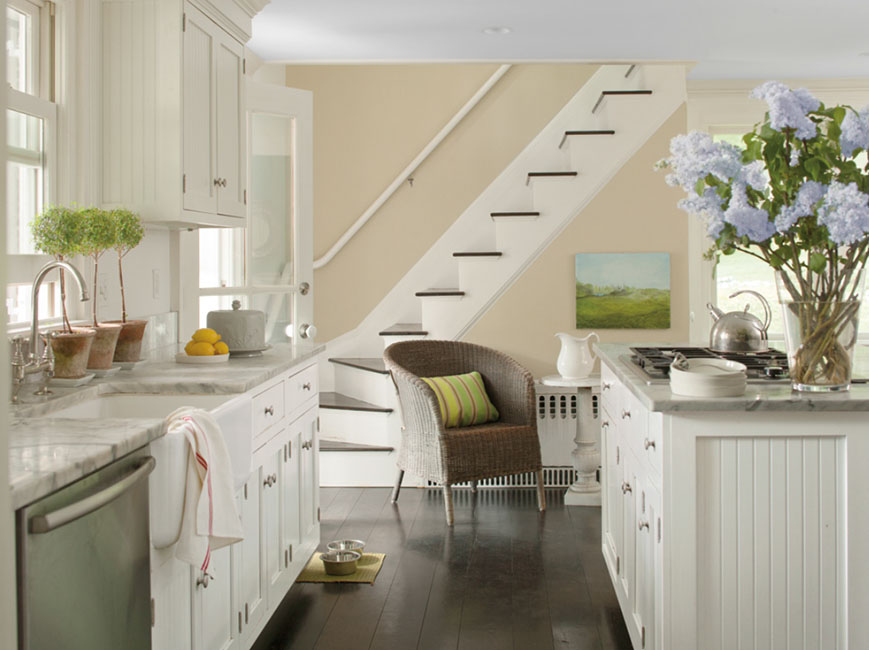 Kitchen Color: Ideas & Inspiration