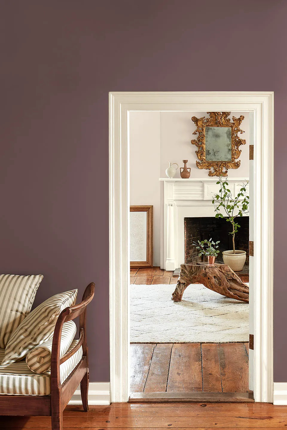 Color of the Year 2025