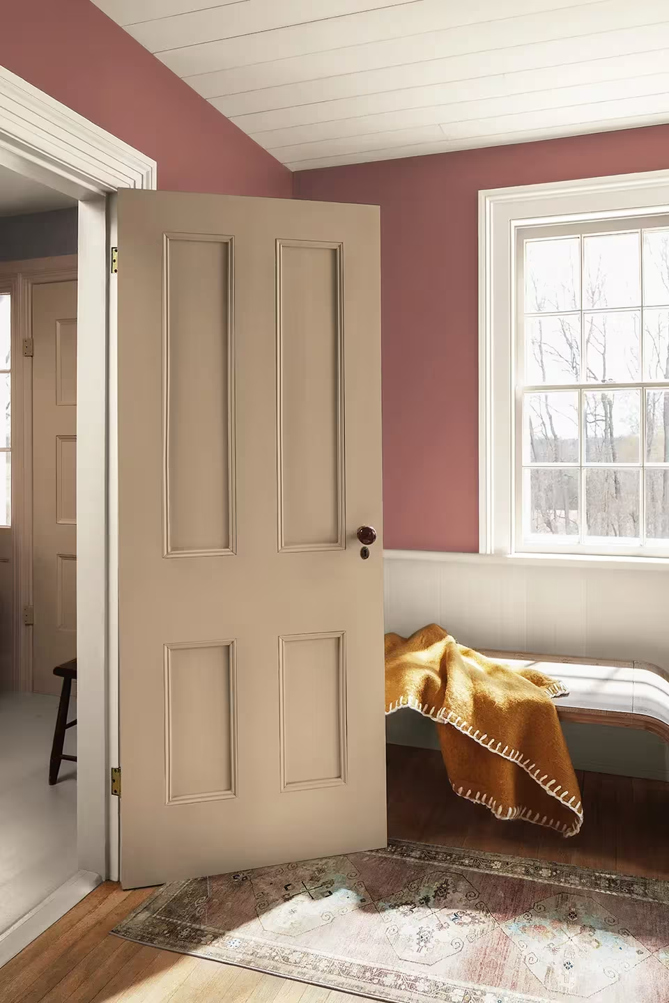Color Trends & Color of the Year 2026