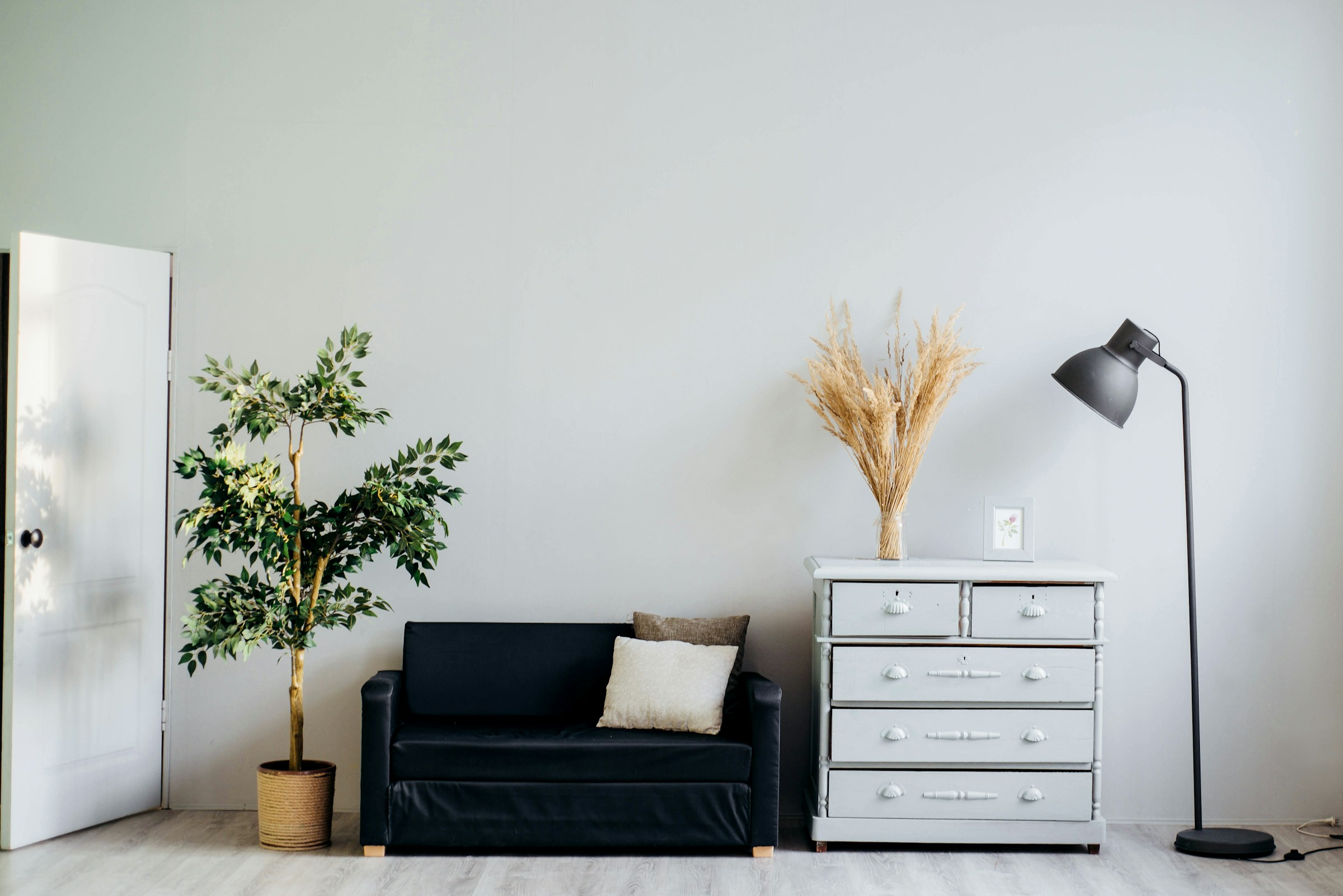 Painted interior with curated tones